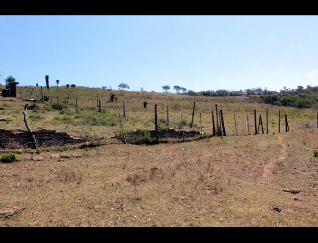 226HA FARM FOR SALE IN KOMGA RURAL